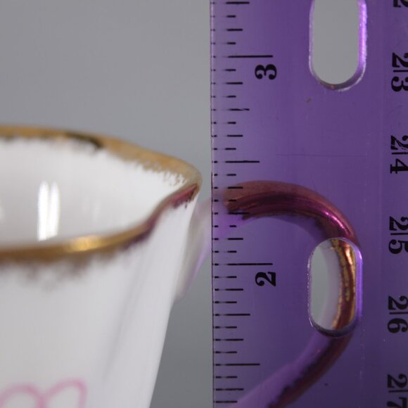 Salisbury Tea Cup With Saucer Sweet Pea White Pink Floral Bone China Tea Cup - Picture 12 of 12